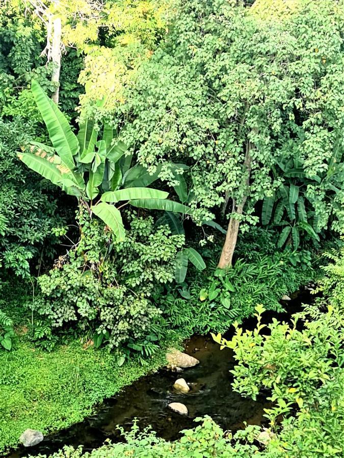 Holiday Cottage By The River, Arusha Exteriör bild